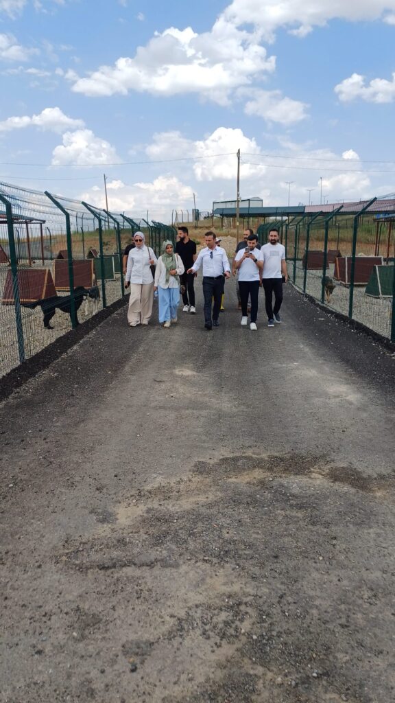 Siirt Baro Başkanlığından Hayvan Hakları Komisyonu Başkanı ve Yardımcıları ile Hayvan Barınağımızı tüm alanları gezdiler çok sevindiler çok iyi ve hayvanlarının durumun gayet iyi olduğunu söylediler başarılarımızın devamını dilediler